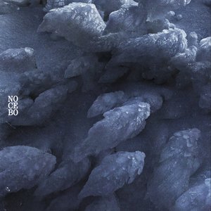 Nocebo