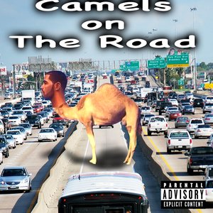 Camels on the Road