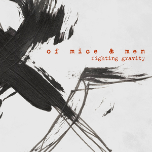 Fighting Gravity - Fighting Gravity - Zortam Music