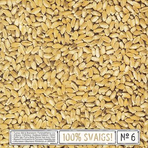 100% svaigs, Vol. 6