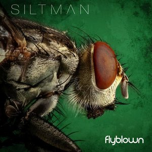 Flyblown - Single