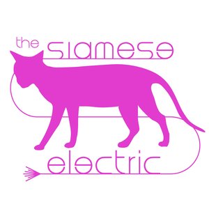 Изображение для 'The Siamese Electric'