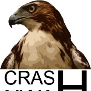 Avatar for Crash Hawk