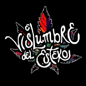 Image for 'El Vislumbre Del Esteko'