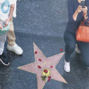 sunset blvd - Single