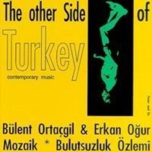 Image for 'The Other Side Of Turkey'