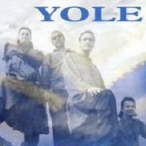 Yole 的头像