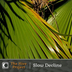 Slow Decline
