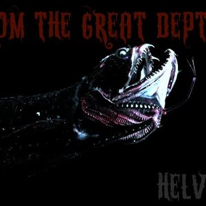 Helvetti 的头像
