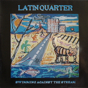 Artwork for Swimming Against the Stream