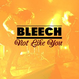 Not Like You - Single