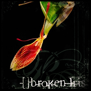 Forevermore Broken Iris Lyrics Song Meanings Videos Full Albums Bios sonichits