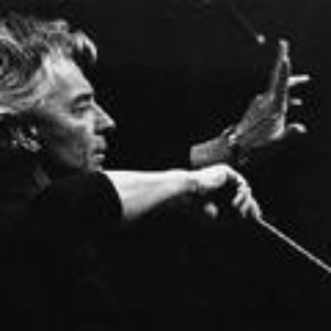Bild für 'Herbert Von Karajan: Berlin Philharmonic Orchestra, Vienna Singverein'