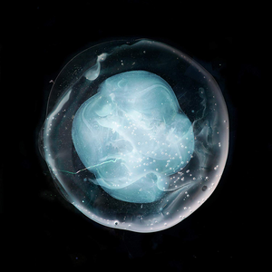 A Winged Victory For The Sullen - The Undivided Five - Zortam Music