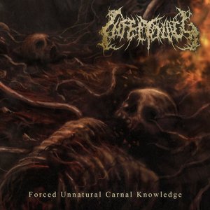 Forced Unnatural Carnal Knowledge