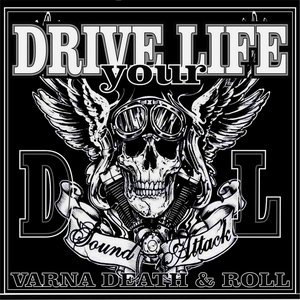 Drive Your Life 的头像