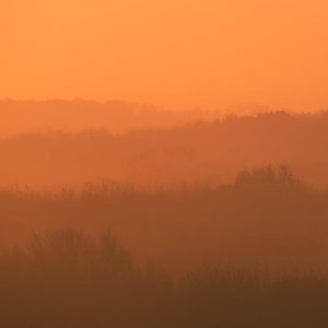 Brown Sleep Noise - EP