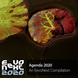 Agenda 2020