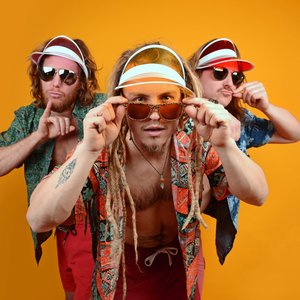 Tarzan & the Beachwaiters 的头像