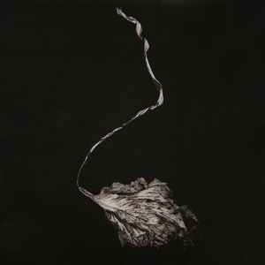Resonant Body cover