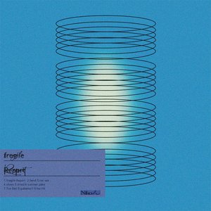 fragile Report