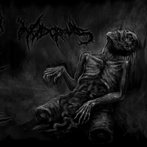 Putrescent Serenity Over Fragments Of Heinous Copronecropsy