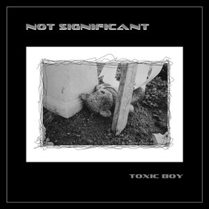 Avatar for NOT SIGNIFICANT