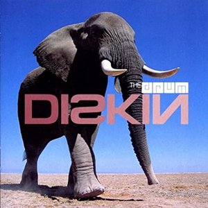 Diskin cover