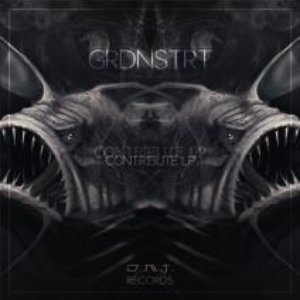 Contribute Lp