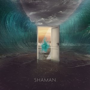 “Shaman”的封面