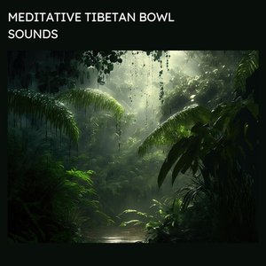 Meditative Tibetan Bowl Sounds