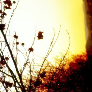 Deep Reverence for God