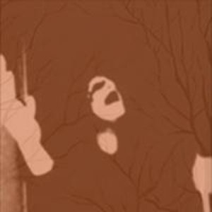 Avatar for Nokturnal Forest