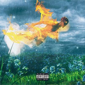 “ps… it burned in the rain”的封面