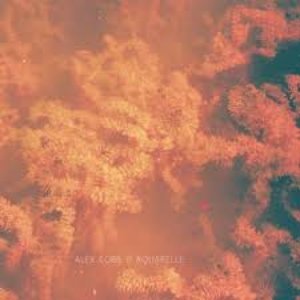 Alex Cobb / Aquarelle - Split LP