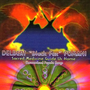 “Sacred Medicine Guide Us Home”的封面