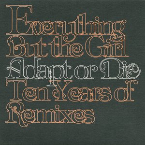 'Adapt or Die: Ten Years of Remixes'の画像