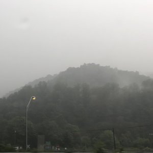 Love Over Mind And Body