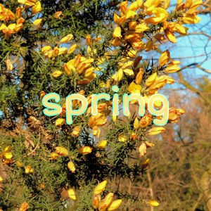 Spring - Single