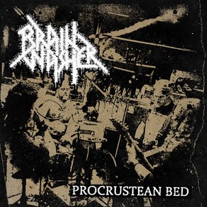 Procrustean Bed