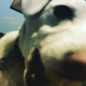 Small Dogs - Single