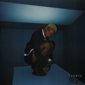 Mini Skirt - Single