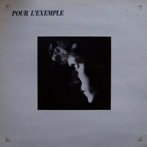 Pour l'exemple 的头像