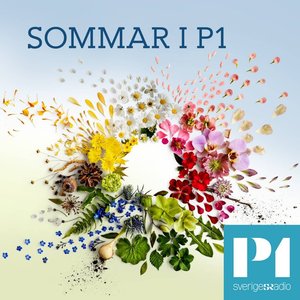 Sommar & Vinter i P1 的头像