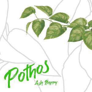 Pothos