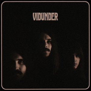 Vidunder