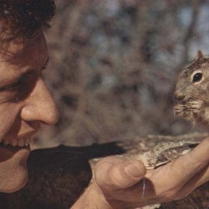 Joe Dassin 的头像