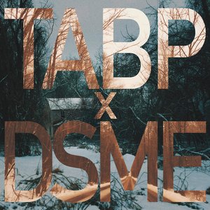 TABP x DSME 的头像
