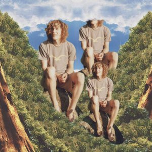 Forest Frontiers