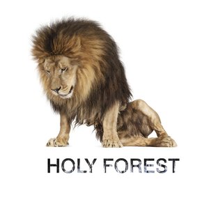 Avatar für Holy Forest